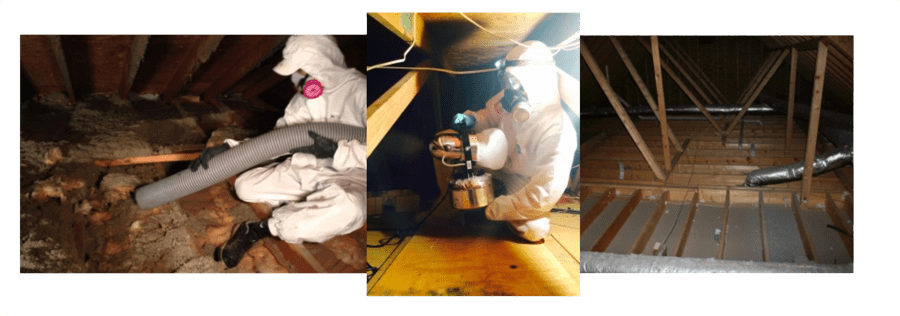 Attic Cleaning and Deodorizing