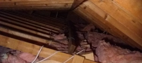 Signs You Need to Replace Your Attic Insulation