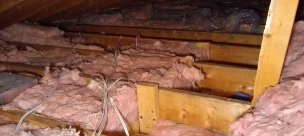 attic inspection