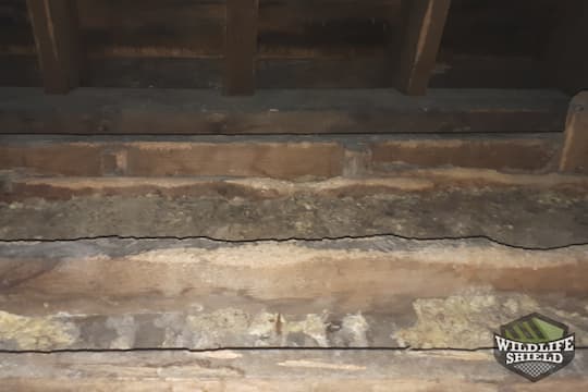 Guelph Attic Insulation Removal