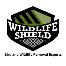 bird and wildlife removal experts