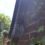 Squirrel and Raccoon Attic and Deck Exclusion – Toronto